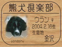 �I�[�i�[�́A�ă}�}����ł���